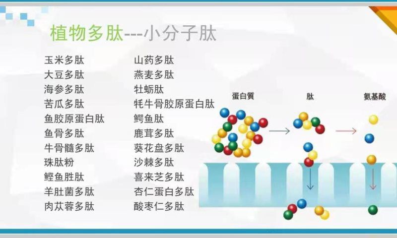 固體飲料